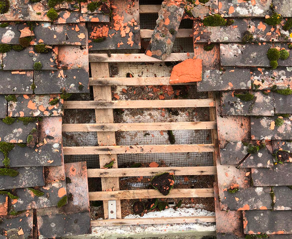 Charpente et traitement à Vernon (27200) - Les Compagnons Moëllo