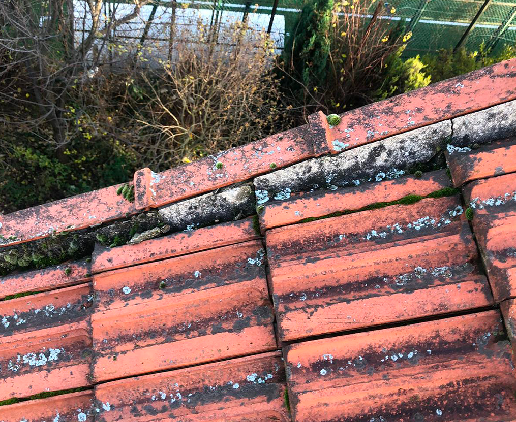 Démoussage et nettoyage de toiture à Vernon (27200) - Les Compagnons Moëllo